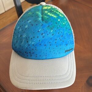 Patagonia trucker SnapBack Hat